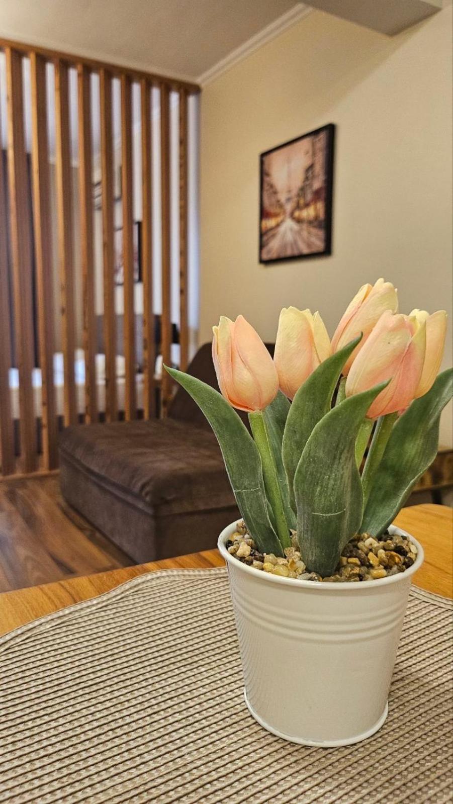 סוזופול Apartment 7 And Studio 2 Quietly And Peaceful Place To Relax מראה חיצוני תמונה